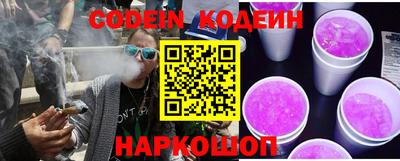 индика Рыбинск