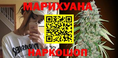 индика Рыбинск