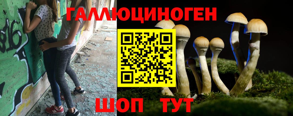 Галлюциногенные грибы MAGIC MUSHROOMS  купить наркотик  Полевской  Вход с VPN 